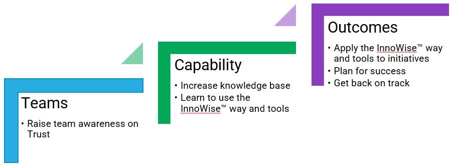 3 core services provided by Innovate Wisely: teams, capability and outcomes